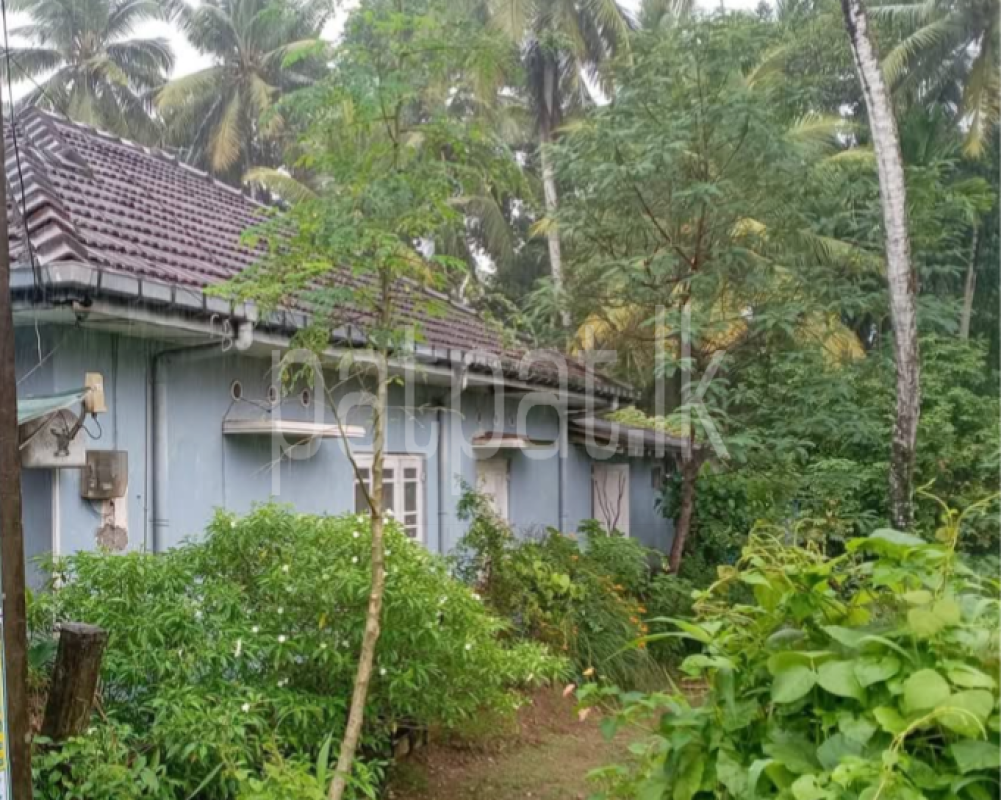 House for Sale in Bandaragama ads-image-1