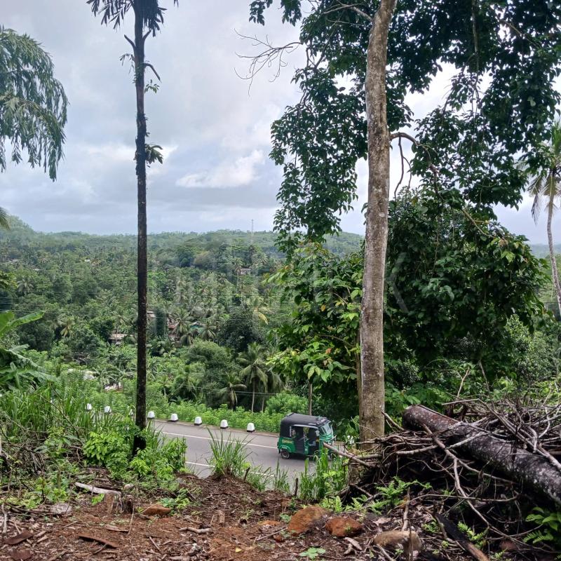 Commercial Land for Sale in Galle