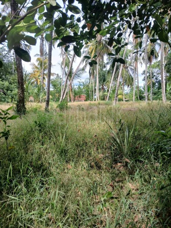 Agricultural Land for Sale in Ridigama