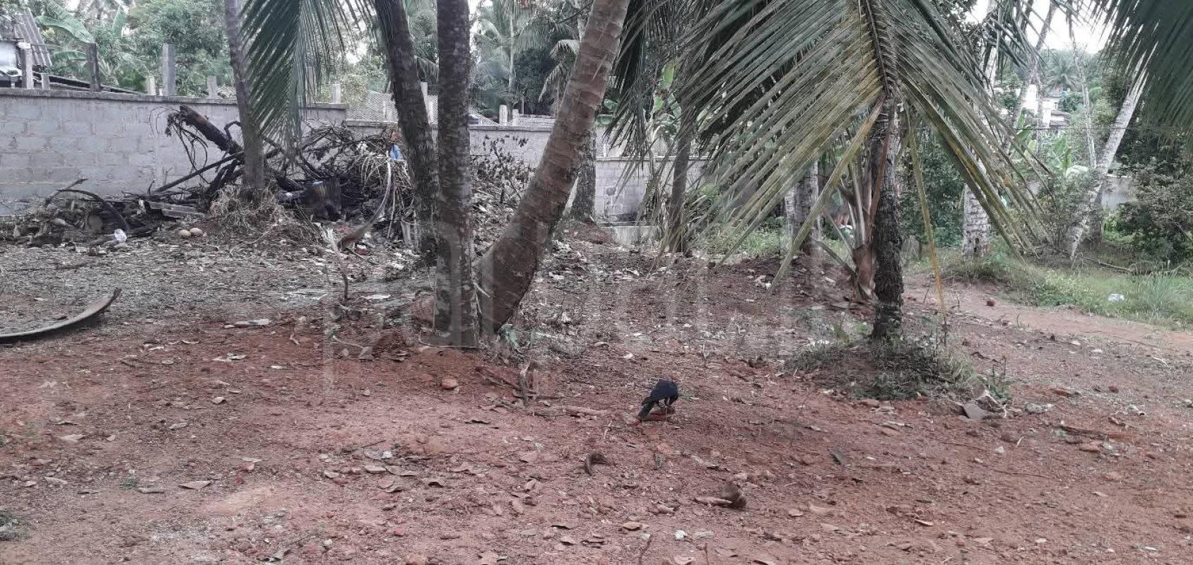 Commercial Land for Sale in Athurugiriya