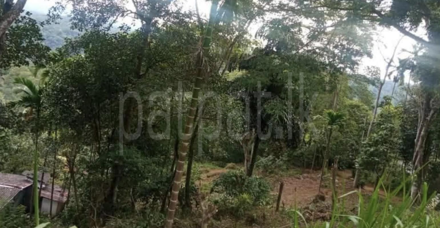 Agricultural Land for Sale in Kundasale