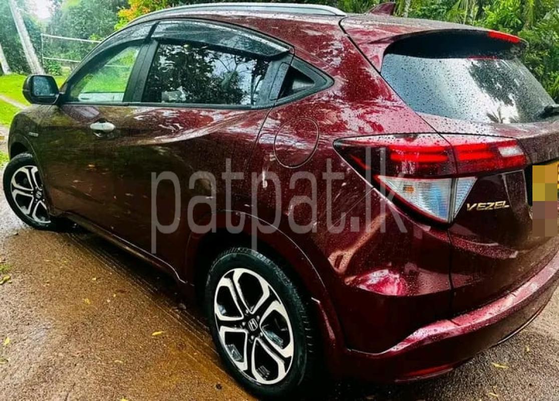 Advertisement image 3