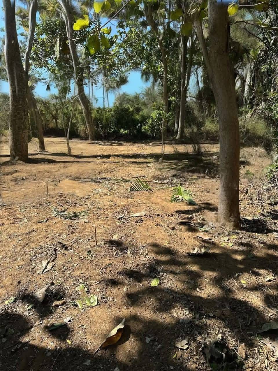 Residential Land for Sale in Beliatta ads-image-1