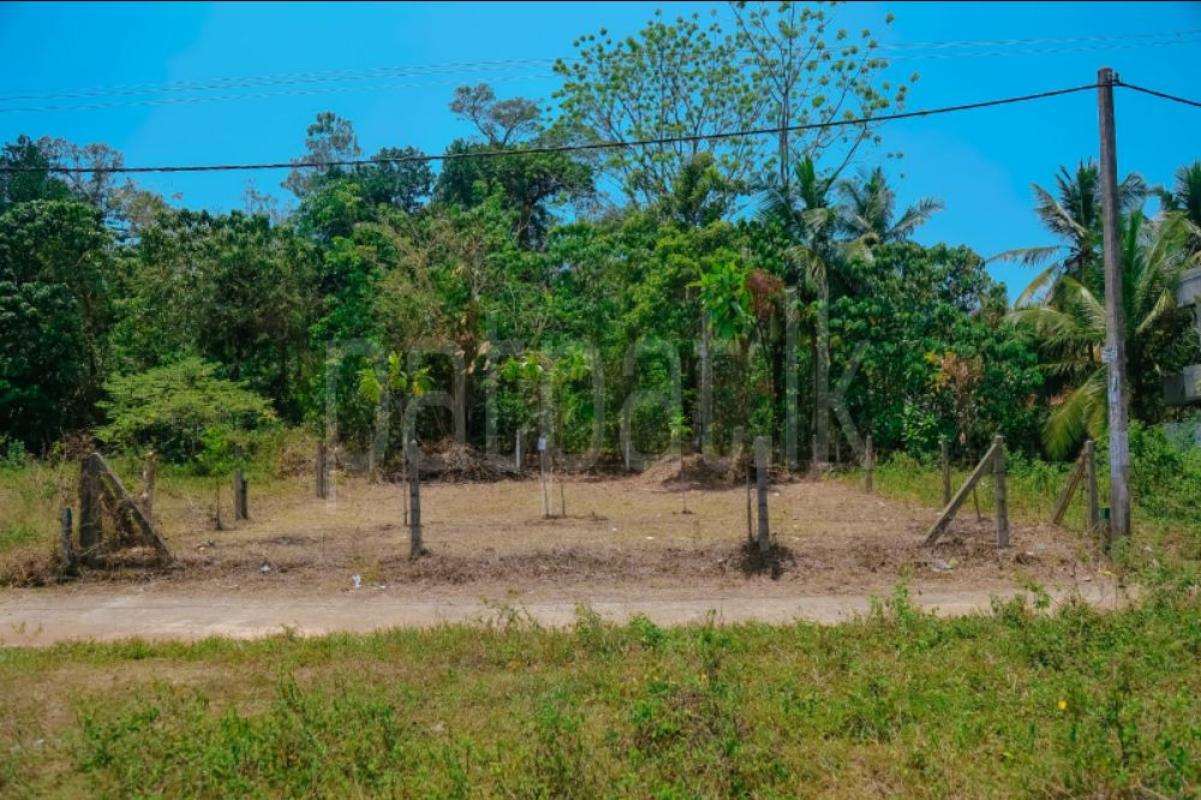 Residential Land for Sale in Panadura