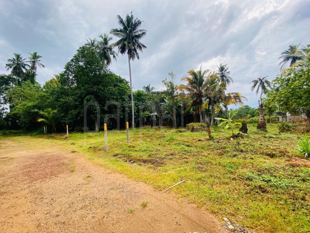 Residential Land for Sale in Rajagiriya