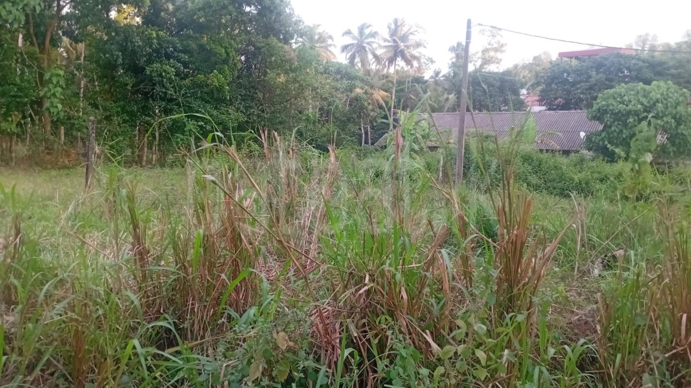 Residential Land for Sale in Kadawatha ads-image-1