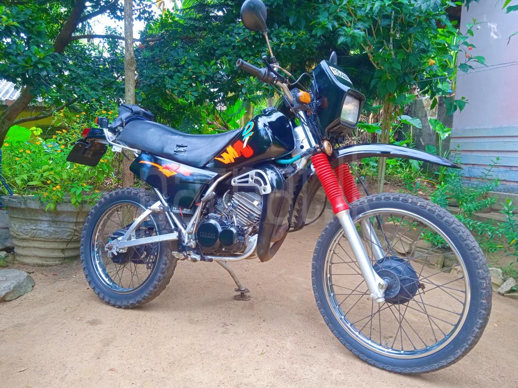 Advertisement image 1