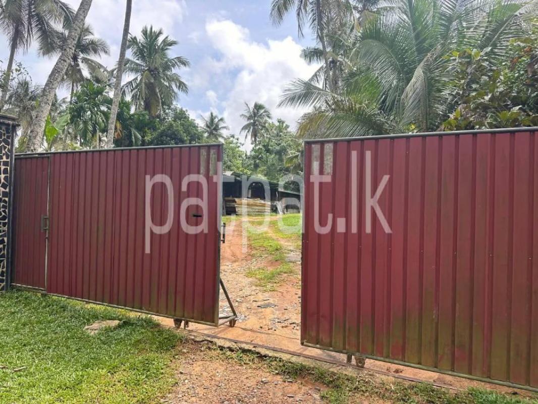 Advertisement image 4