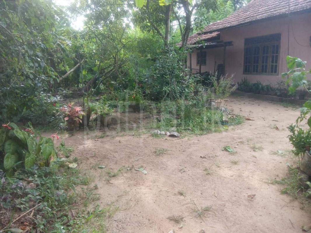 House for Sale in Divulapitiya