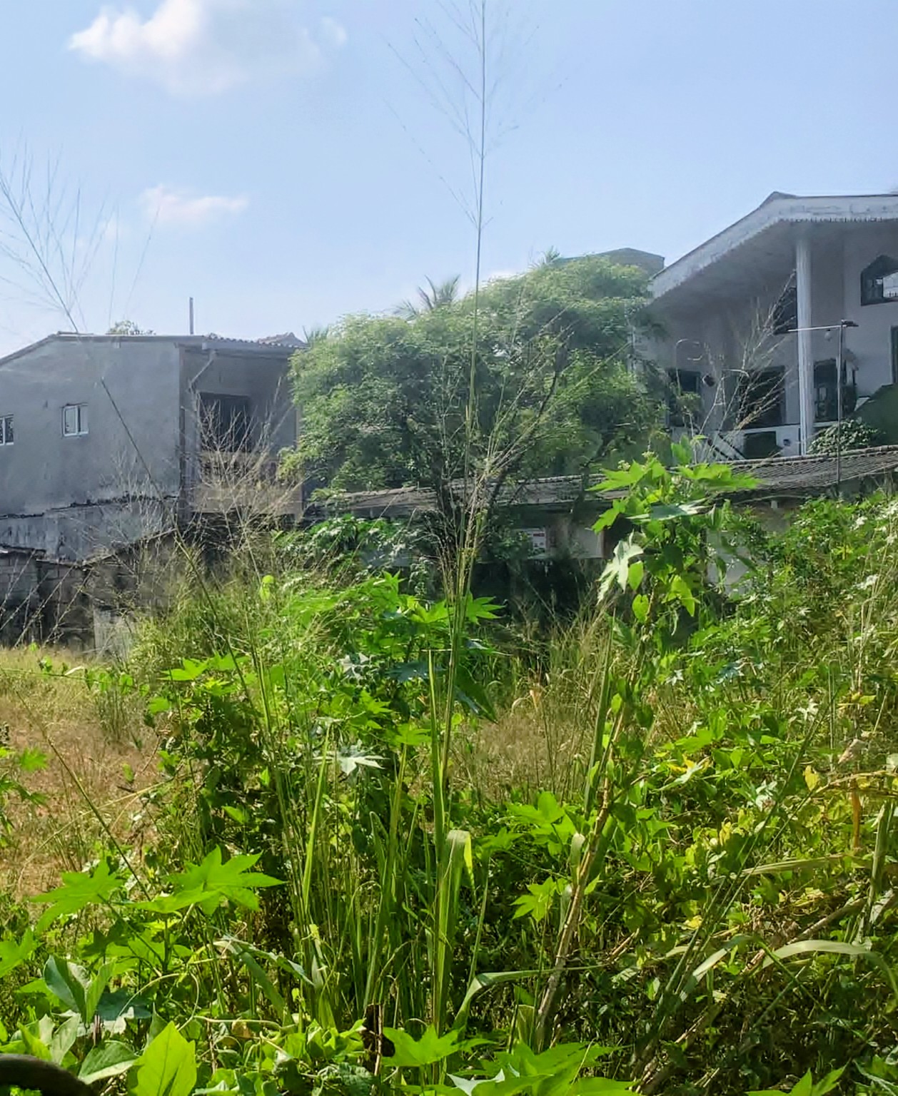 Residential Land for Sale in Kottawa