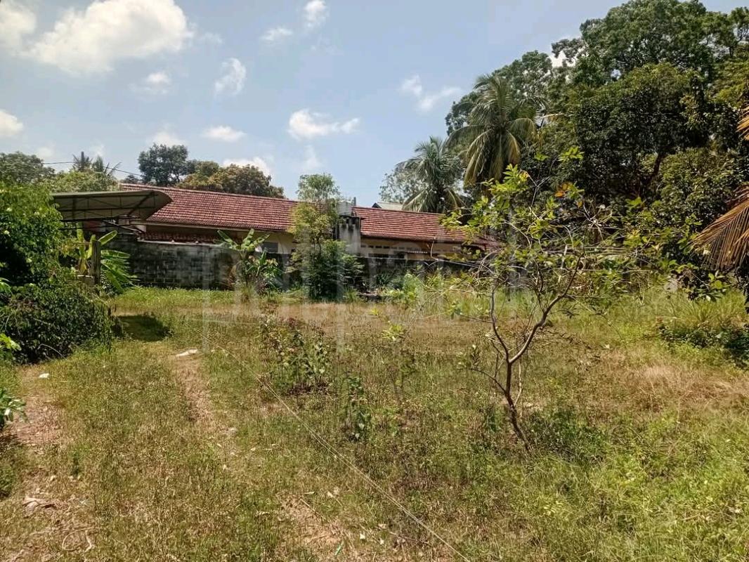 Residential Land for Sale in Padukka ads-image-1
