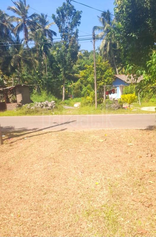 Agricultural Land for Sale in Wanaluwewa ads-image-1
