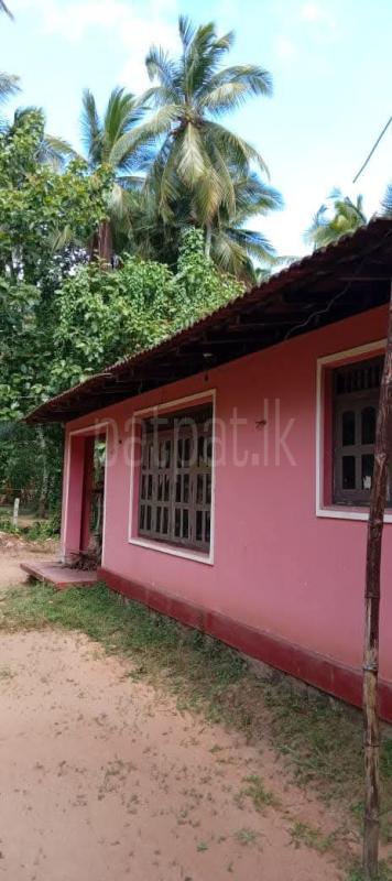 Agricultural Land for Sale in Katupota