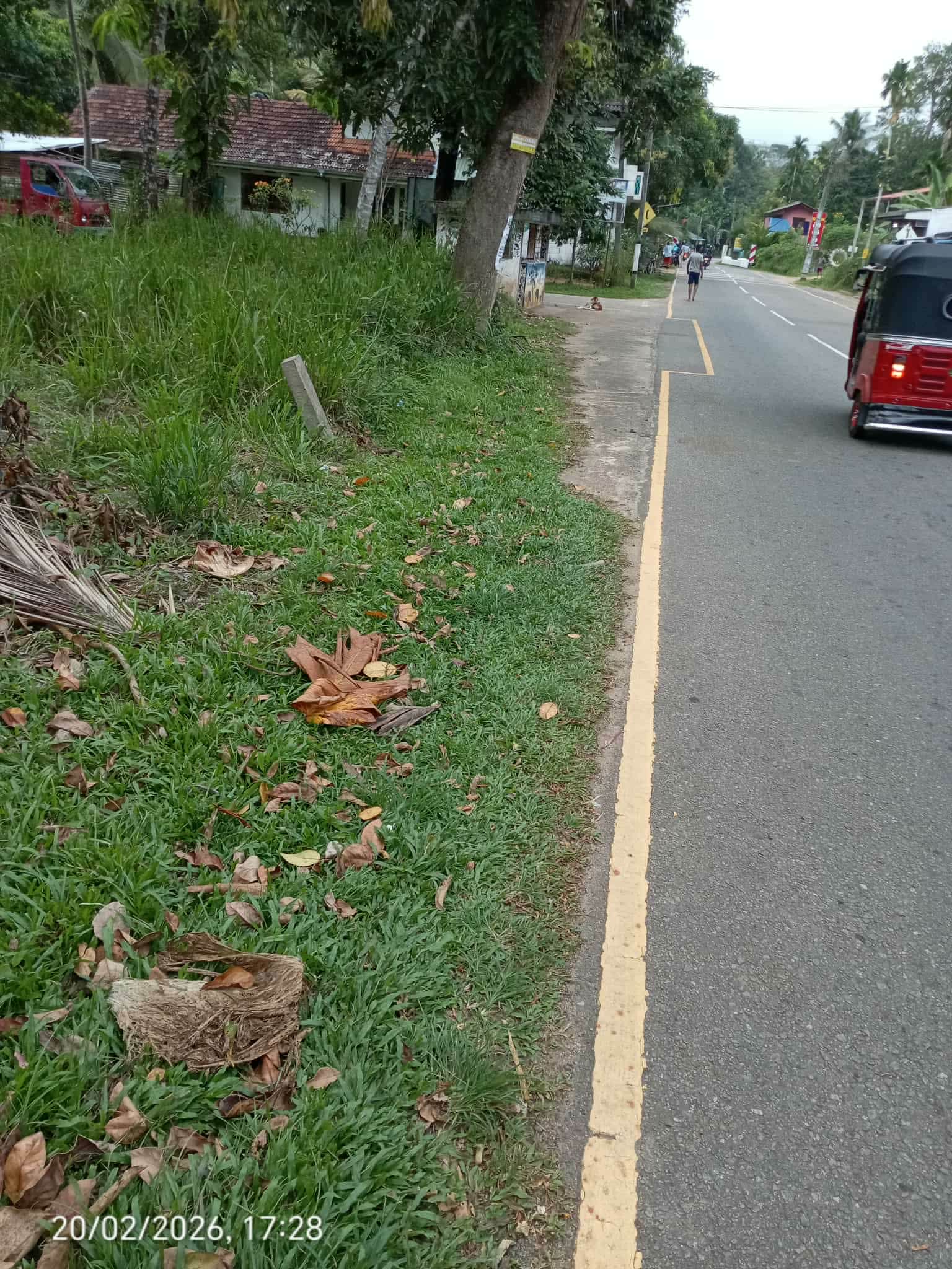 Advertisement image 6