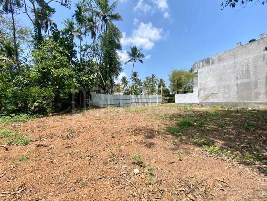 Residential Land for Sale in Panadura ads-image-1