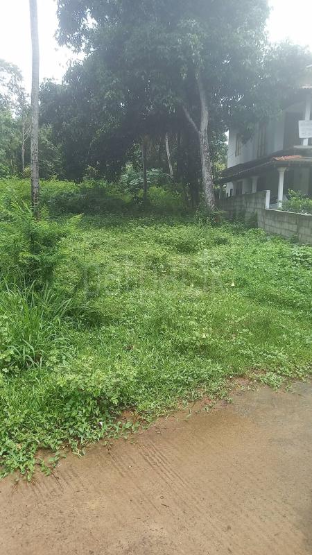 Commercial Land for Sale in Weeraketiya
