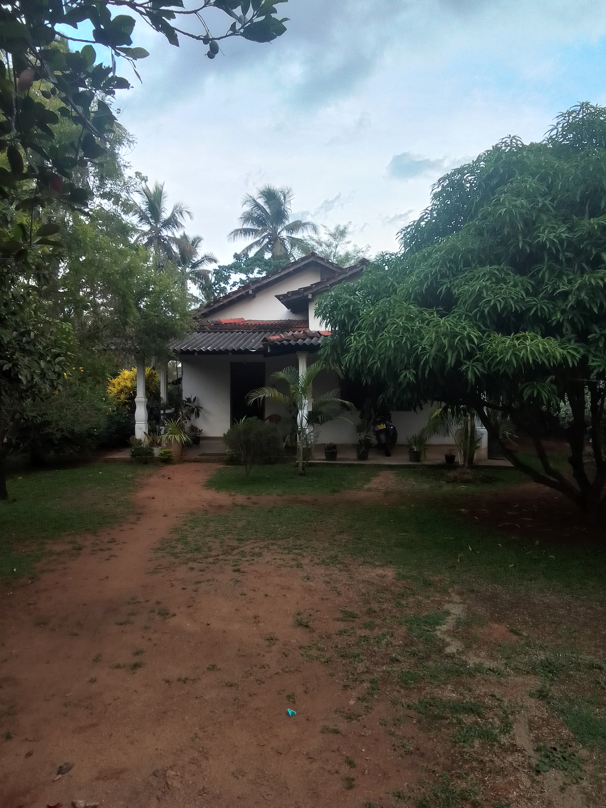 House for Sale in Galewela ads-image-1
