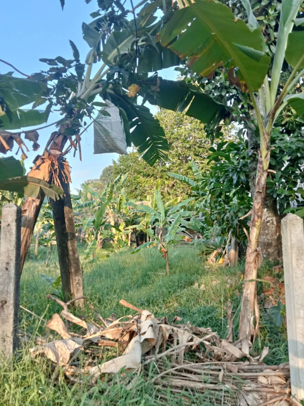 Residential Land for Sale in Kottawa