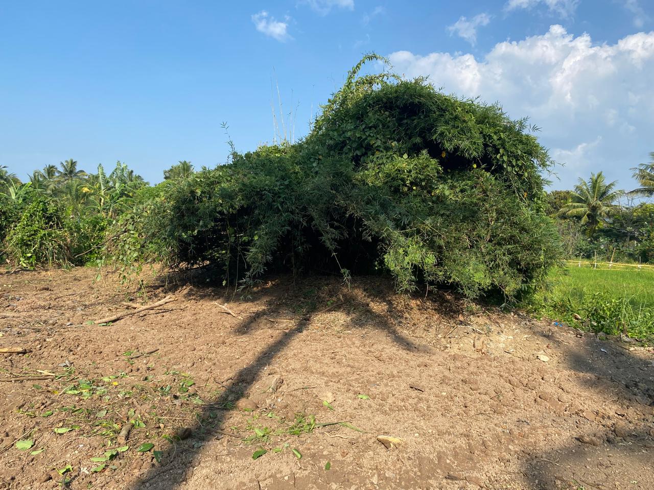 Residential Land for Sale in Polgasowita