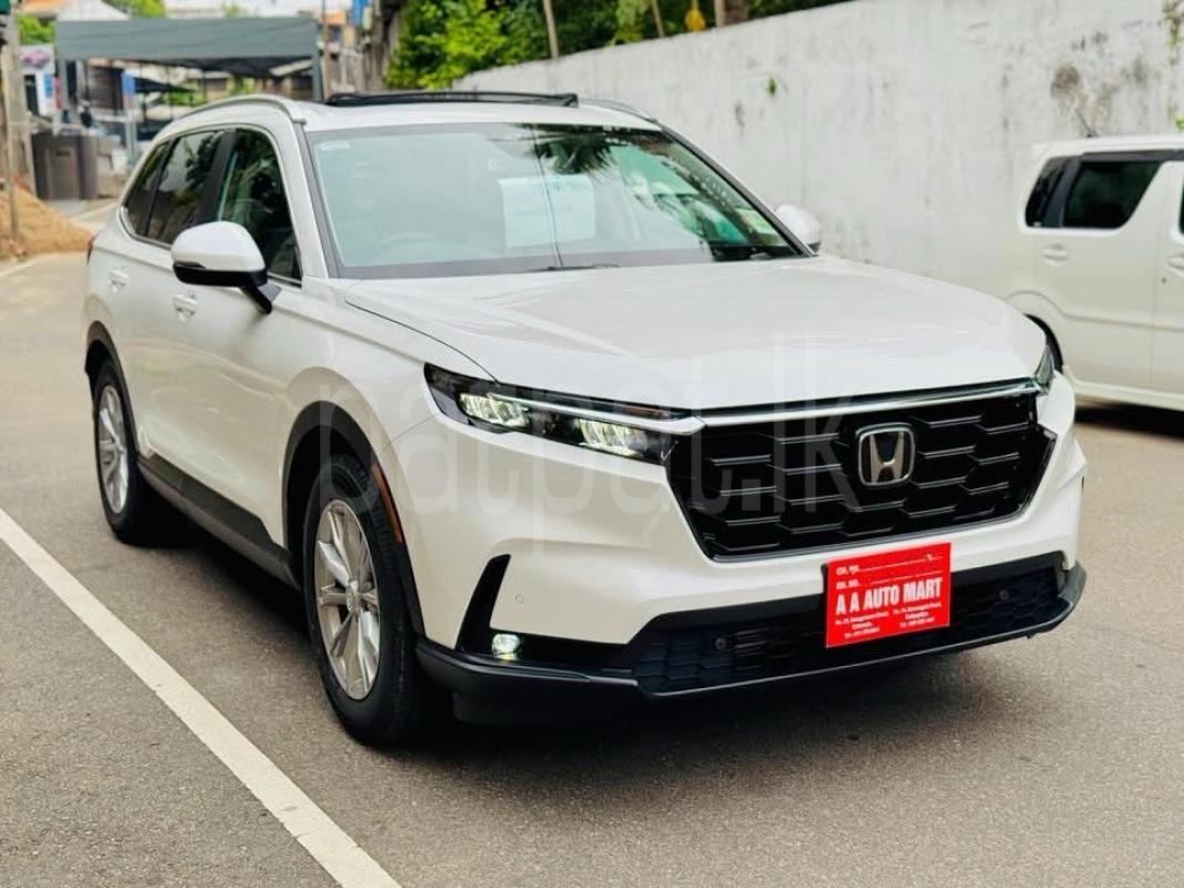 Advertisement image 2