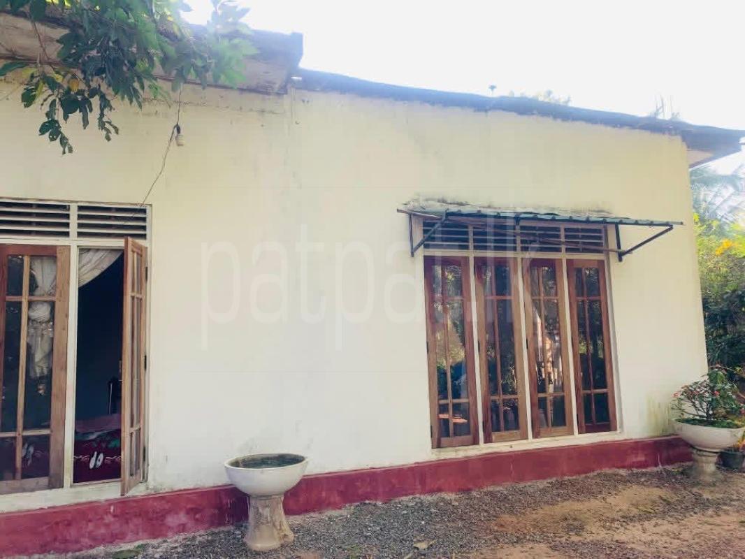 House for Sale in Gampaha ads-image-1