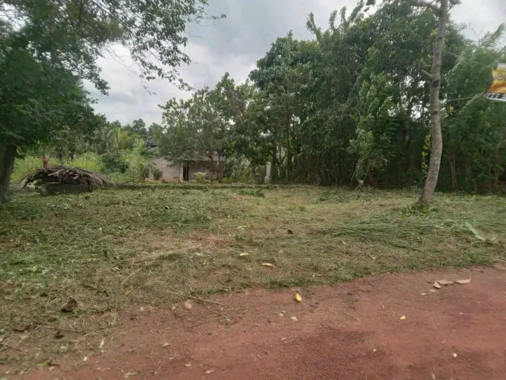 Commercial Land for Sale in Veyangoda