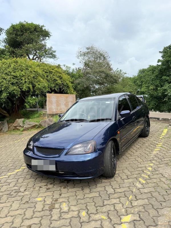 Advertisement image 4