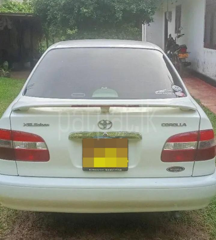 Toyota Corolla 1999 - Used Car sale in Sri Lanka - patpat.lk
