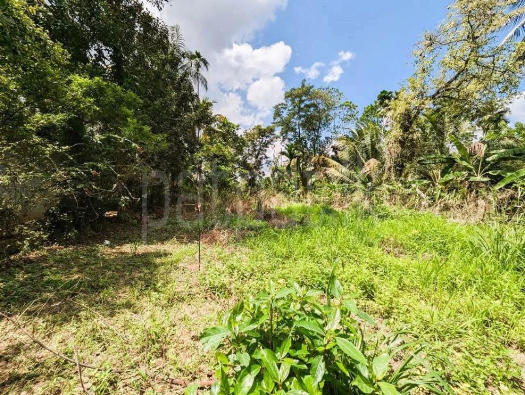 Residential Land for Sale in Yakkala ads-image-1