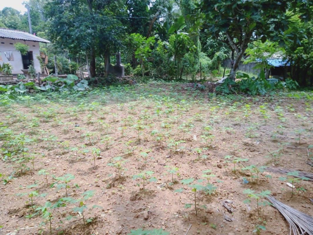 Residential Land for Sale in Gonapola Junction ads-image-1