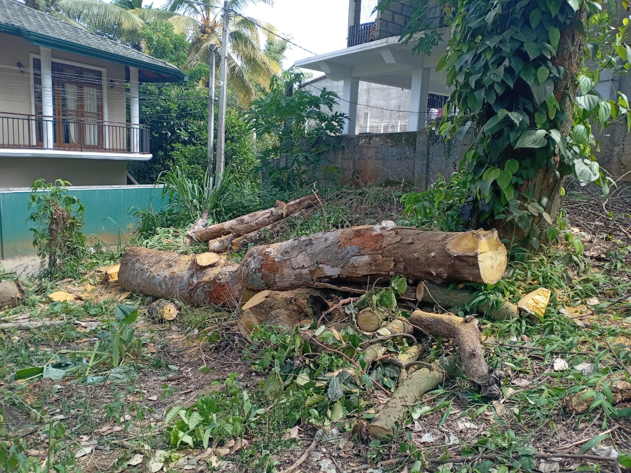 Residential Land for Sale in Lewella