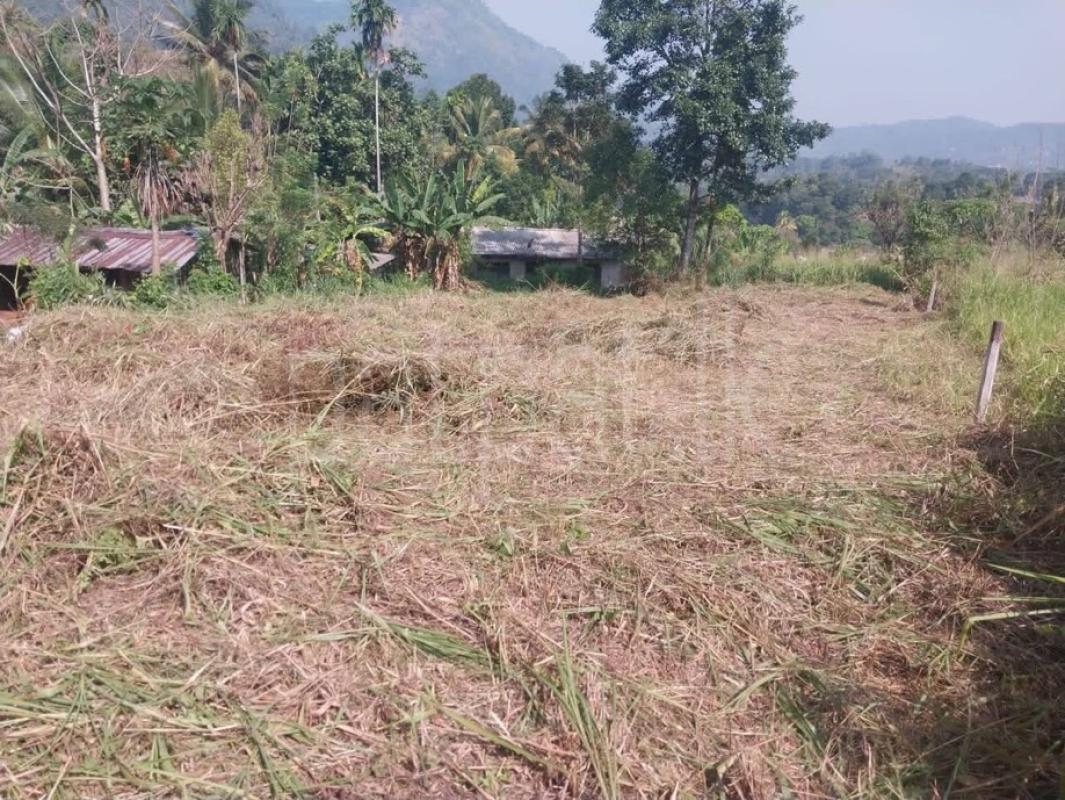 Residential Land for Sale in Gampola