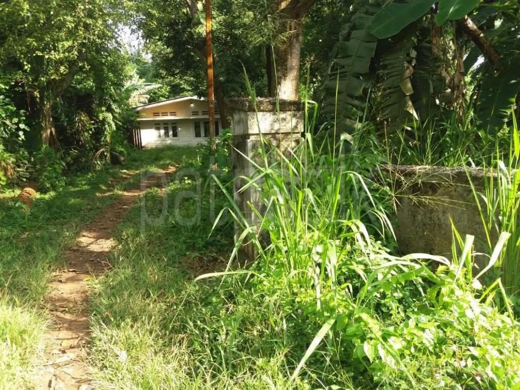 Residential Land for Sale in Kaduwela ads-image-1
