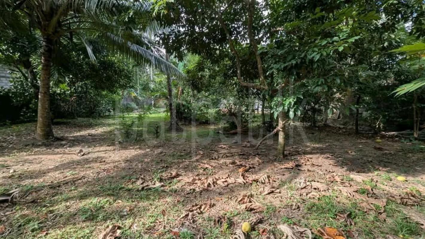 Residential Land for Sale in Avissawella ads-image-1