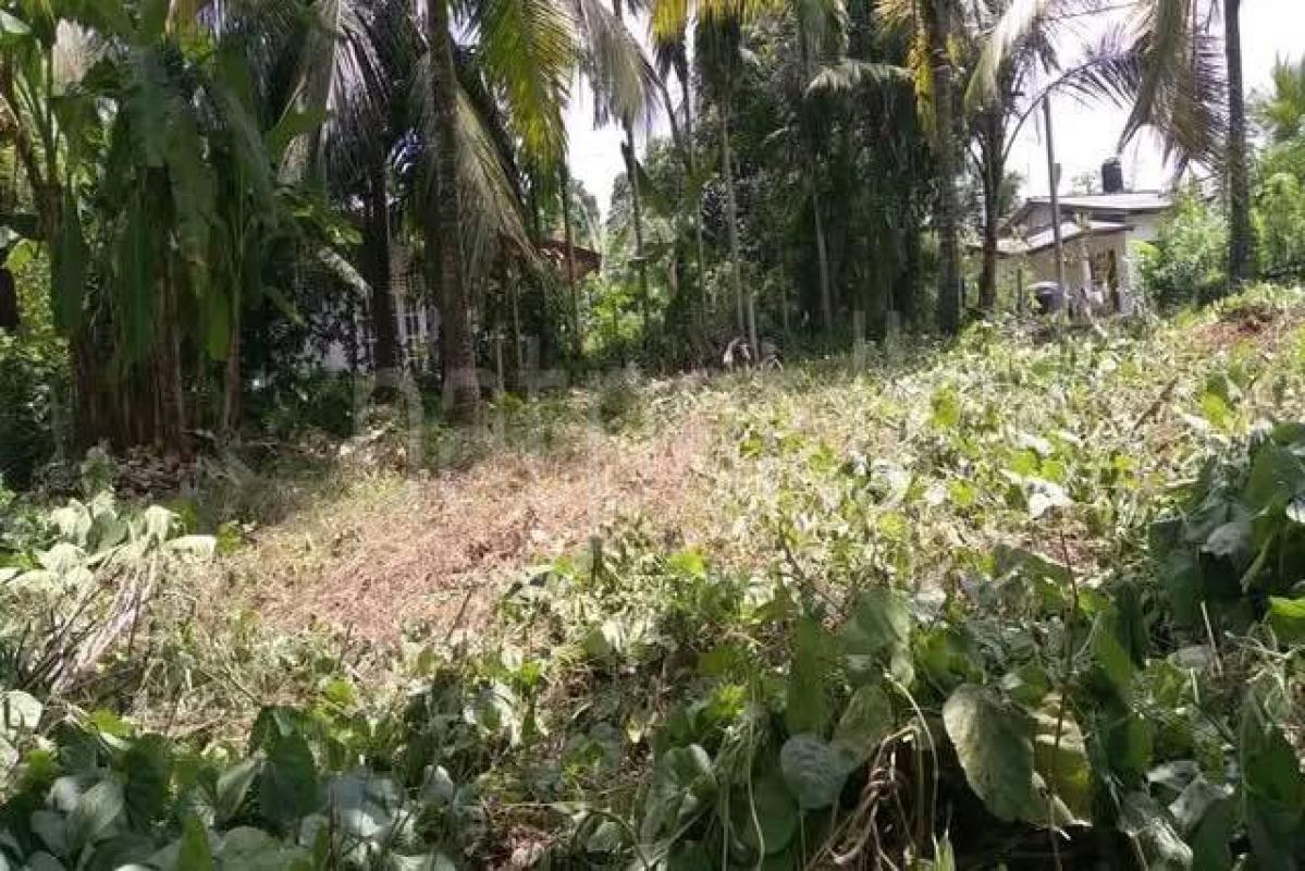 Residential Land for Sale in Nittambuwa ads-image-1