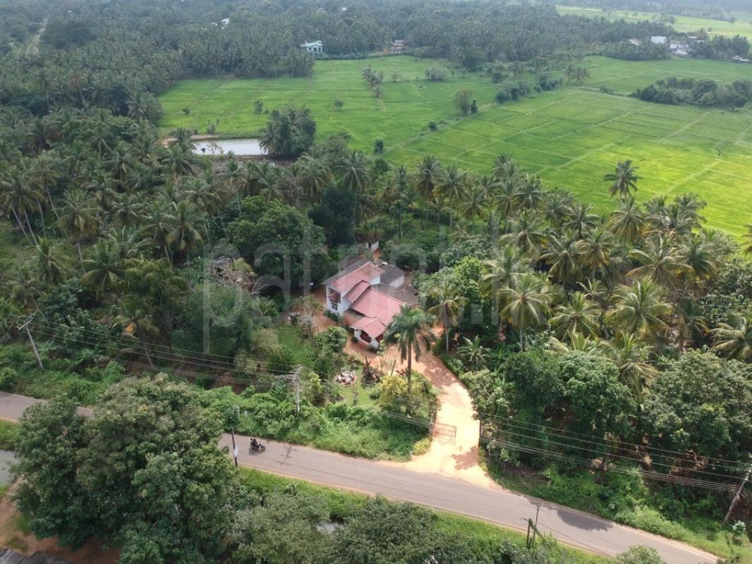 Residential Land for Sale in Saliyapura ads-image-1