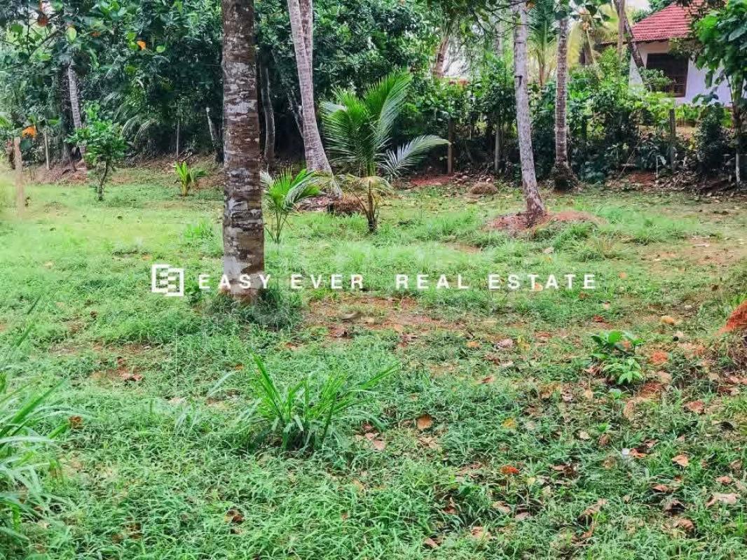 Residential Land for Sale in Batuwatta