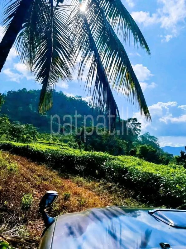 Advertisement image 1