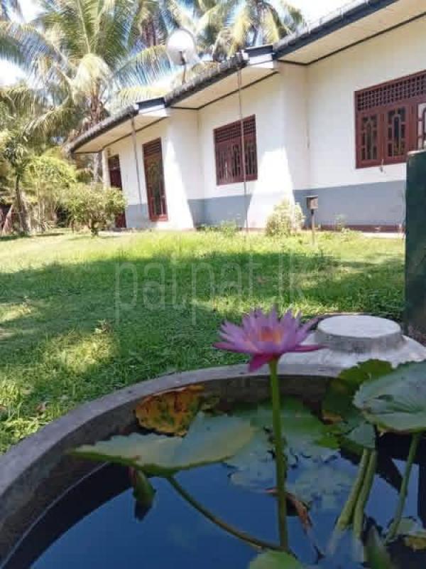 House for Sale in Delgoda