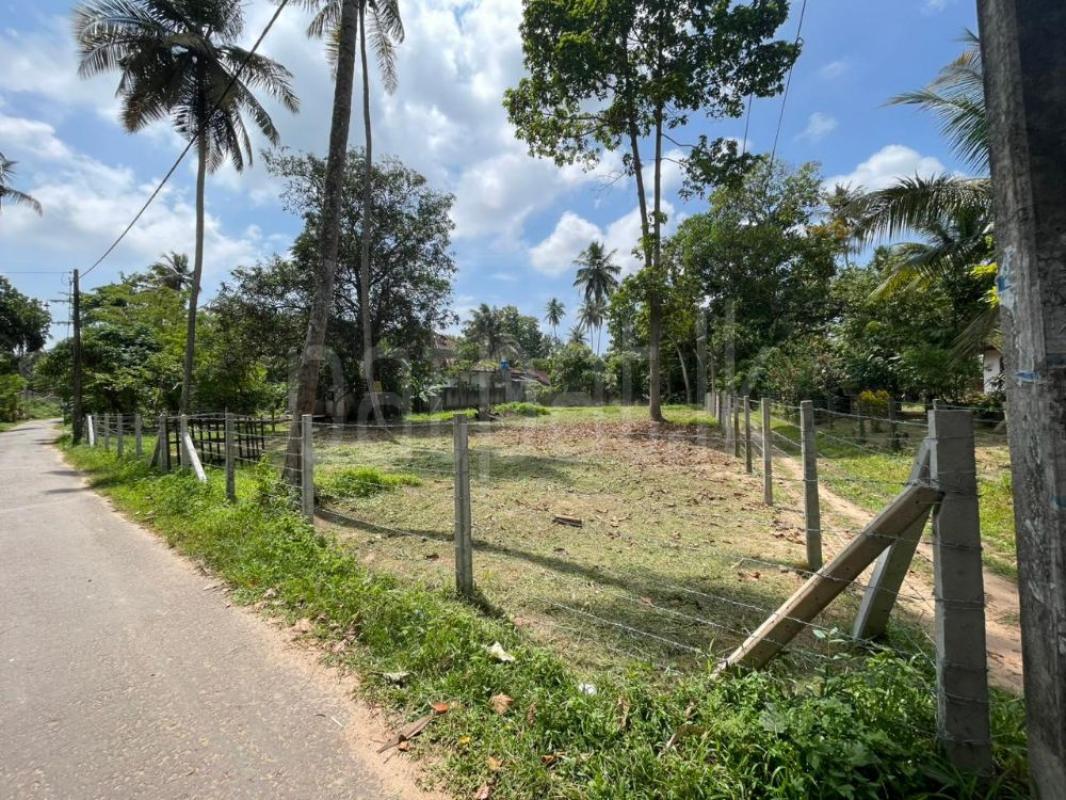 Residential Land for Sale in Kadirana ads-image-1