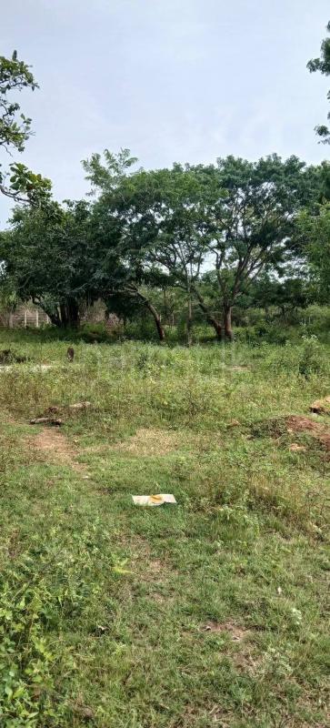 Residential Land for Sale in Kataragama