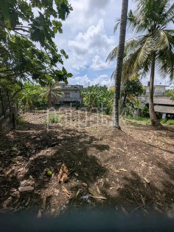 Commercial Land for Sale in Kadawatha
