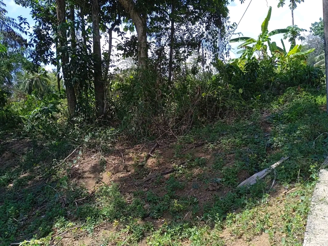 Agricultural Land for Sale in Mawathagama ads-image-1