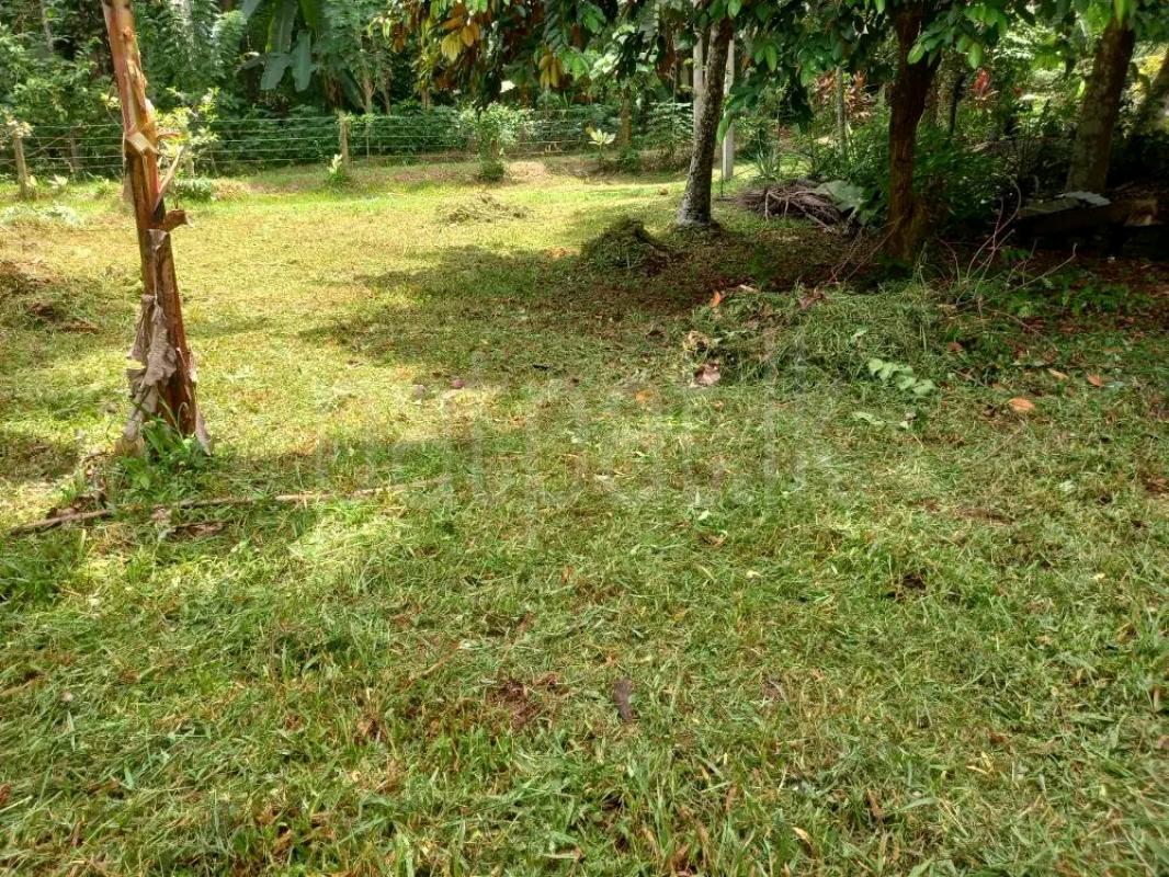 Agricultural Land for Sale in Adampan