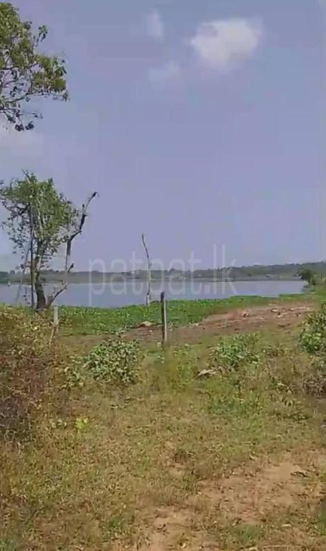 Residential Land for Sale in Udamattala