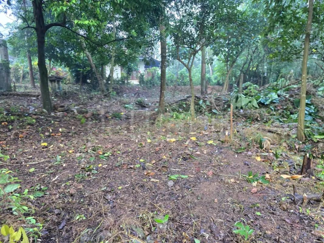 Residential Land for Sale in Pamunugama