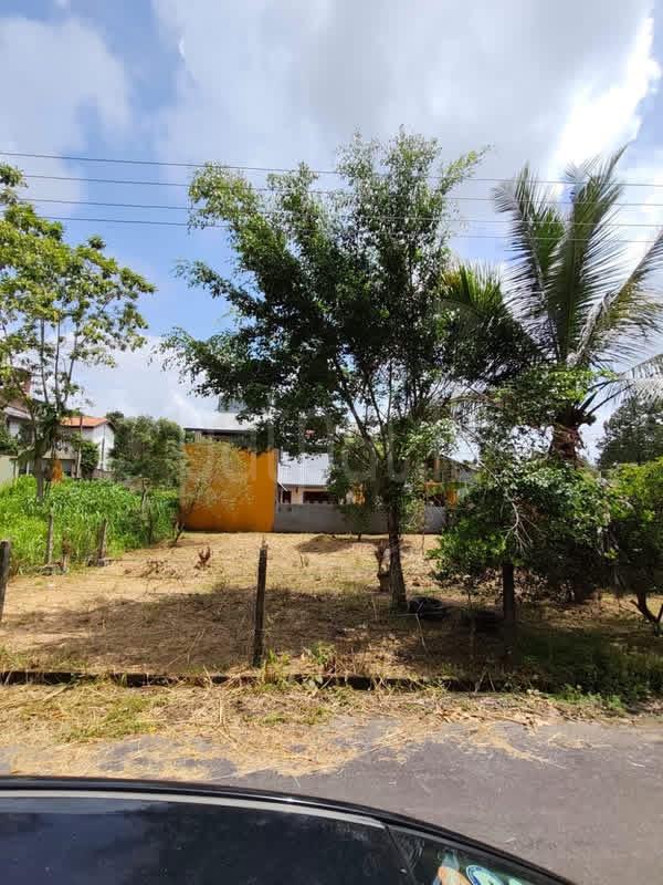 Residential Land for Sale in Talawatugoda
