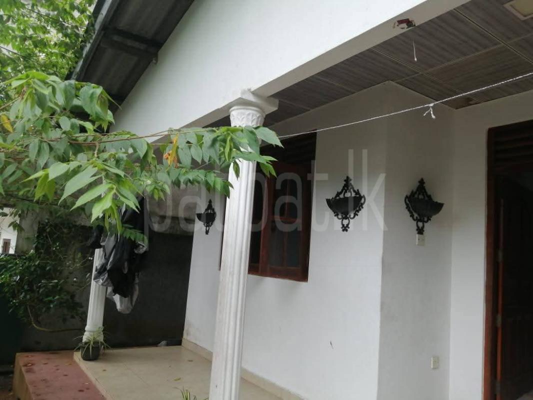 premium-listing-image