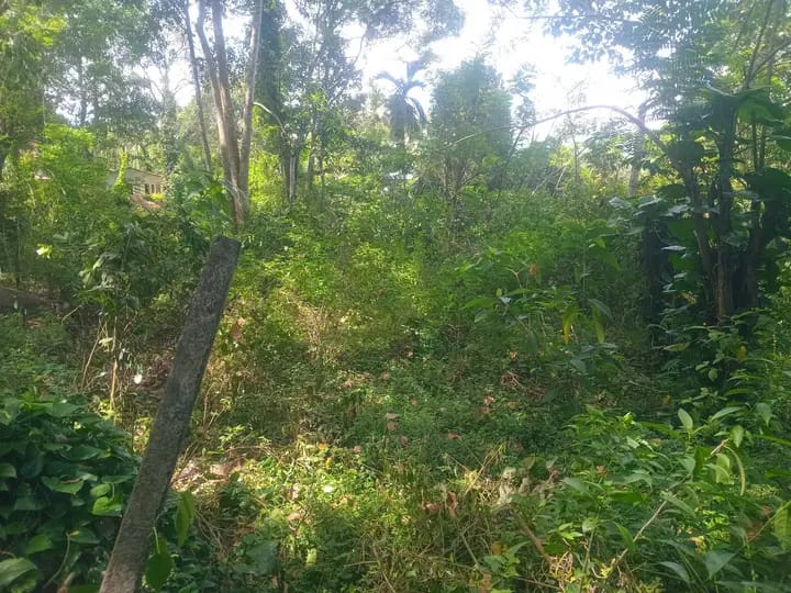 Residential Land for Sale in Badulla
