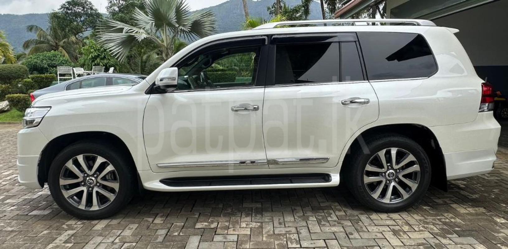 Advertisement image 2